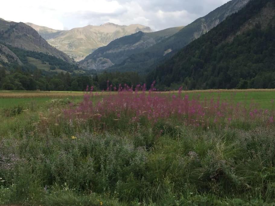 Appart Tres Ensoleille 5-6 Pers Au Pied Des Pistes Ancelle Bagian luar foto